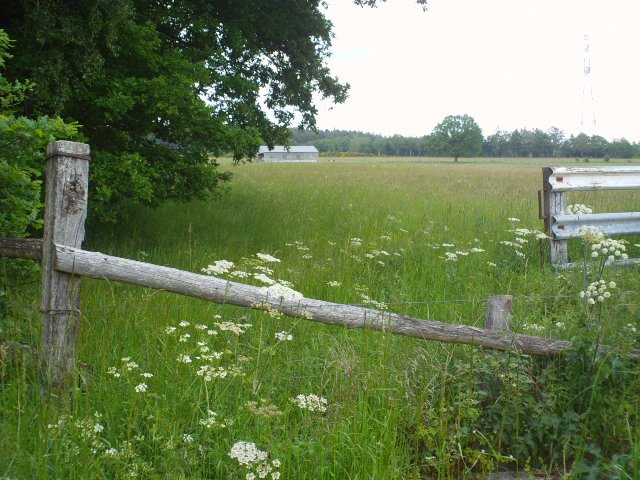 2014hwk 079.jpg